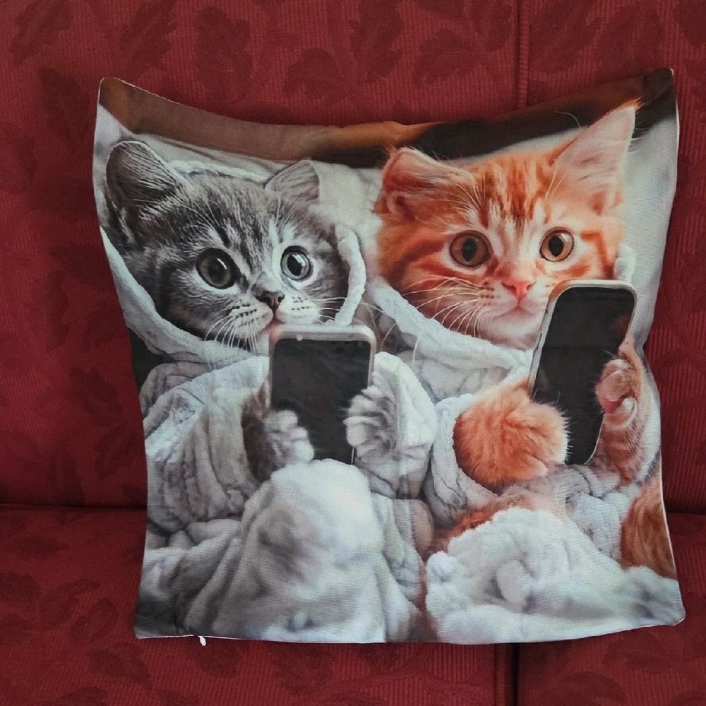 Cozy Cat Pillow Cover with Kittens in Robes